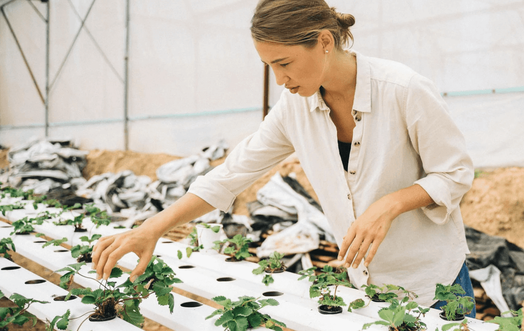 Agriculture