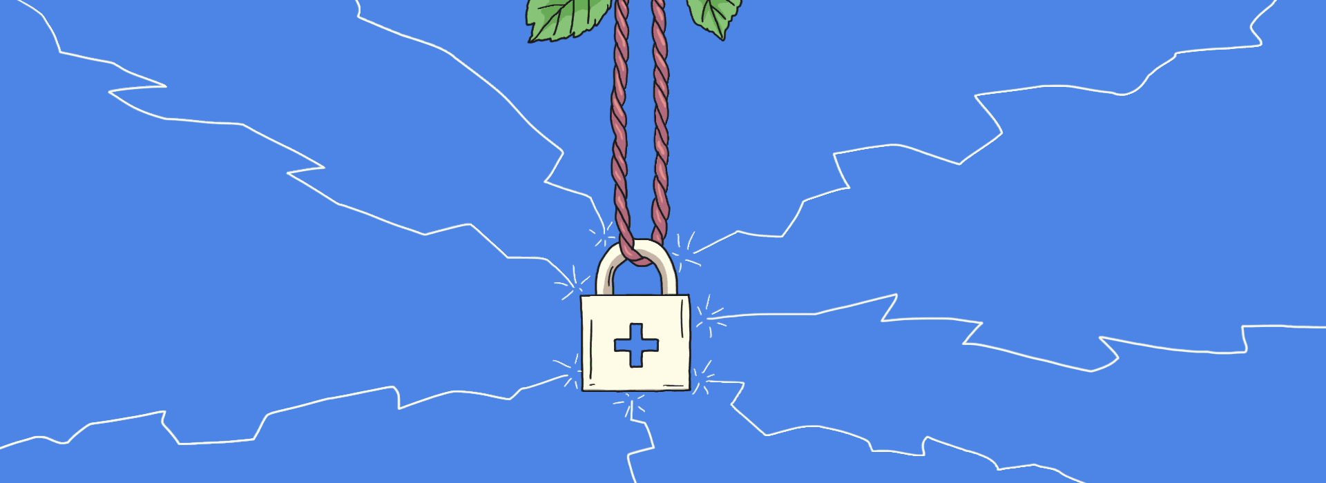 Essential cybersecurity guidelines for medical devices: detailed breakdown